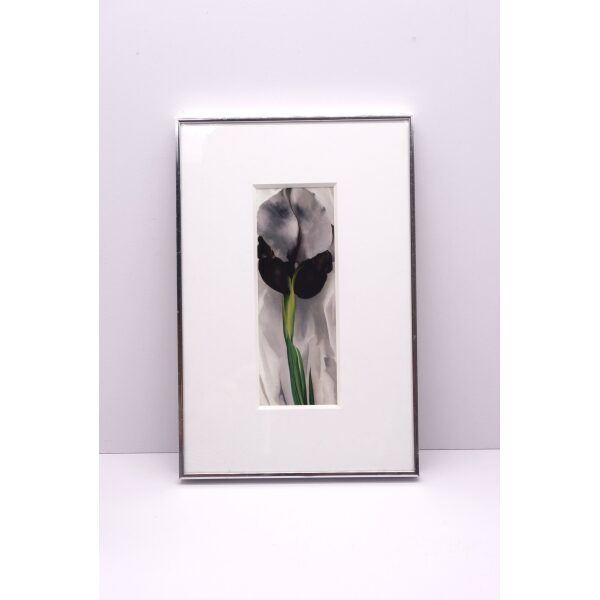 Georgia O'Keeffe Flower Print in Skinny 1970's Nielsen Metal Frame